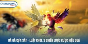 Đá gà cựa sắt