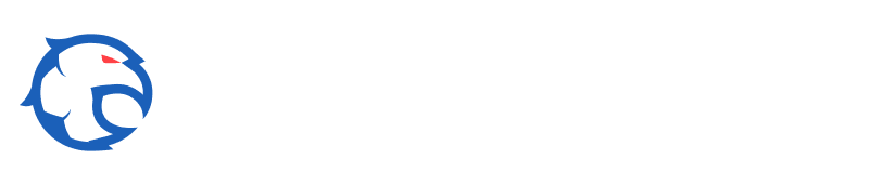 nowgoal.photo